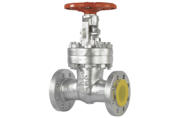  KSB Gate Valve